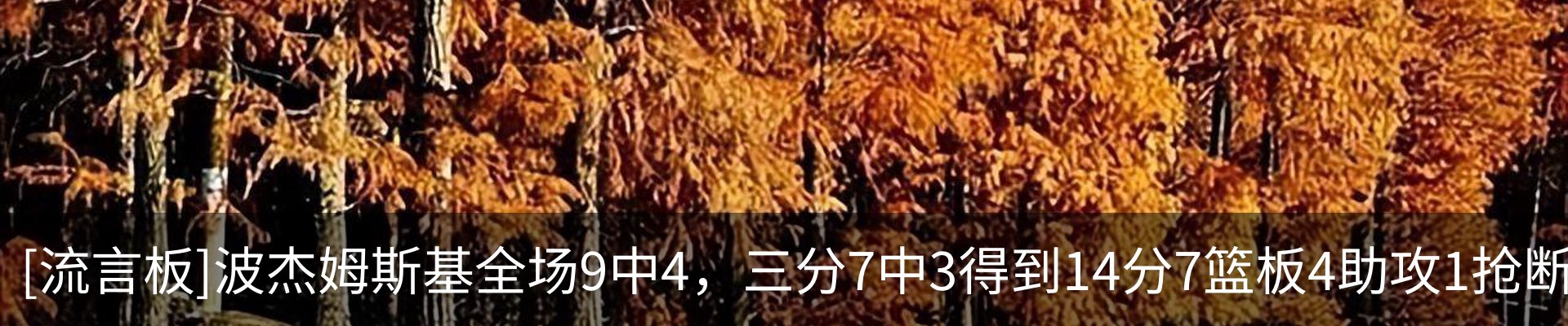 最新动态